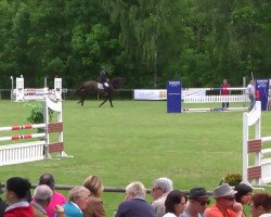 jumper Ina 101 (Hanoverian, 2008, from Iberio)