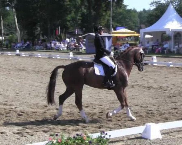 Dressurpferd First-Claas (Westfale, 2010, von Fürstenball)