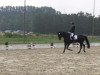 dressage horse Quarka (Westphalian, 2010, from Quaterback)