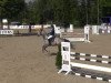 jumper Cleopatra 232 (Oldenburg show jumper, 2008, from Contaro)