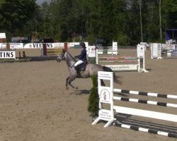 jumper Cleopatra 232 (Oldenburg show jumper, 2008, from Contaro)