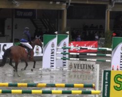 jumper Agusta 2 (KWPN (Royal Dutch Sporthorse), 2005)