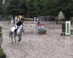 jumper Gina (Belgian Warmblood, 2003)