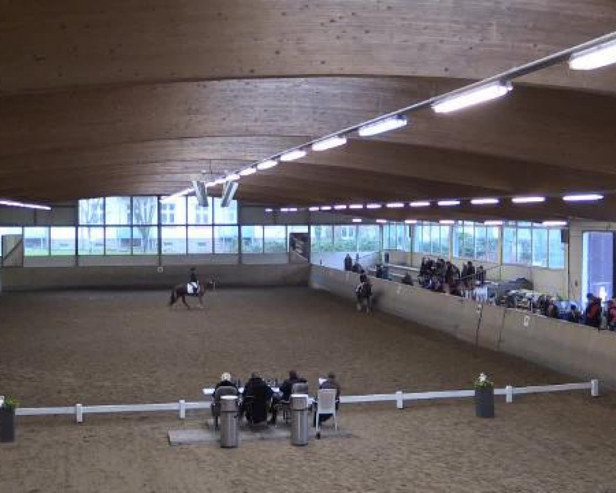 dressage horse Miramis (unknown, 2005)
