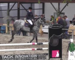 broodmare Centona 2 (Oldenburg show jumper, 2008, from Centadel)