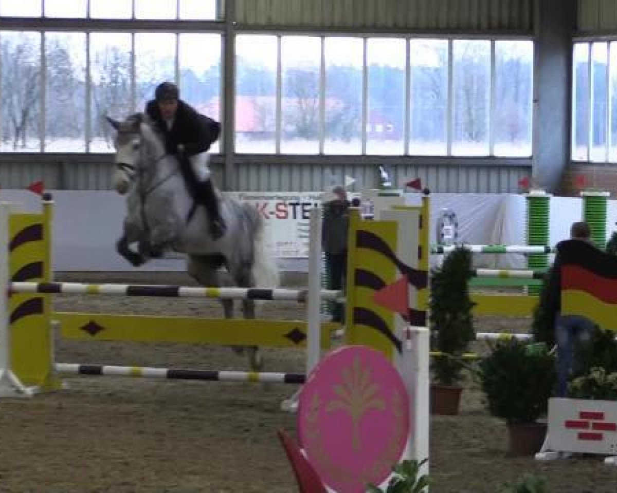 jumper Cantaloupe H (Westphalian, 2008, from Cristallo I)