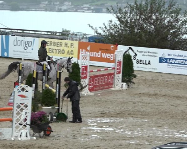 Reitturnier Wädenswil 2020