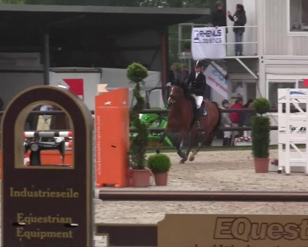 dressage horse Csar (KWPN (Royal Dutch Sporthorse), 2007)