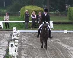 broodmare Davida de Luna AT (German Riding Pony, 2011, from Dressman)