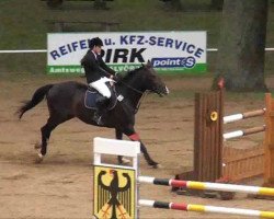 jumper Crazy Casey (Hanoverian, 2007, from Cordalme Z)