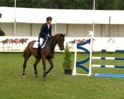 jumper Vivallo 3 (KWPN (Royal Dutch Sporthorse), 2009, from Amadeus)