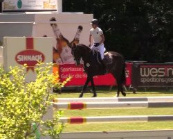 jumper Fredrike (KWPN (Royal Dutch Sporthorse), 2010, from Ukato)