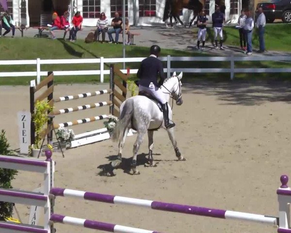 jumper Ac China CH (Swiss Warmblood, 2002)