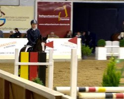 jumper Gracy Lou 3 (Hanoverian, 2007, from Graf Remus)