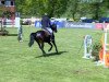 horse Geysina (Hanoverian, 2008, from Geysir)