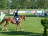 broodmare Buffy L (Oldenburg show jumper, 2008, from Balou du Rouet)