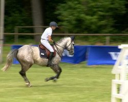 jumper Corando 13 (Hanoverian, 2009, from Cornado NRW)