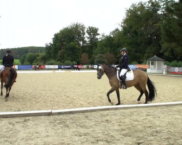 Reitturnier Hof Bettenrode 2020