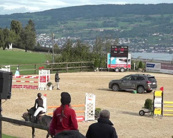 Reitturnier Wädenswil 2020