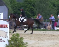 jumper Eleganca (Hanoverian, 2007, from El Bundy)