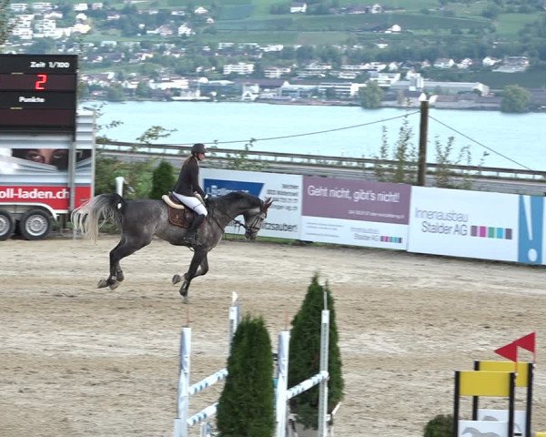 Reitturnier Wädenswil 2020