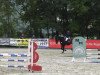 jumper Chateau Noir 3 (Oldenburg show jumper, 2009, from Concetto)