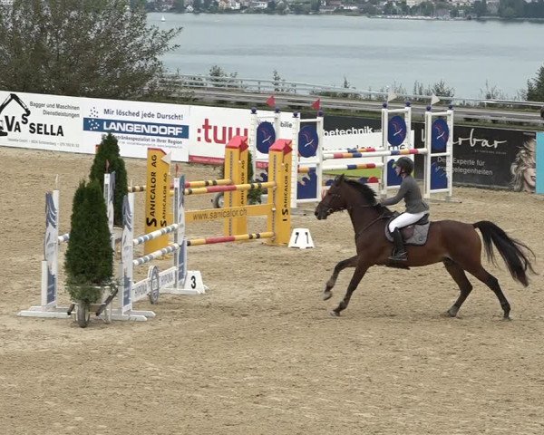 Reitturnier Wädenswil 2020