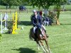 jumper Conthargo's Star (Oldenburg show jumper, 2008, from Conthargos)