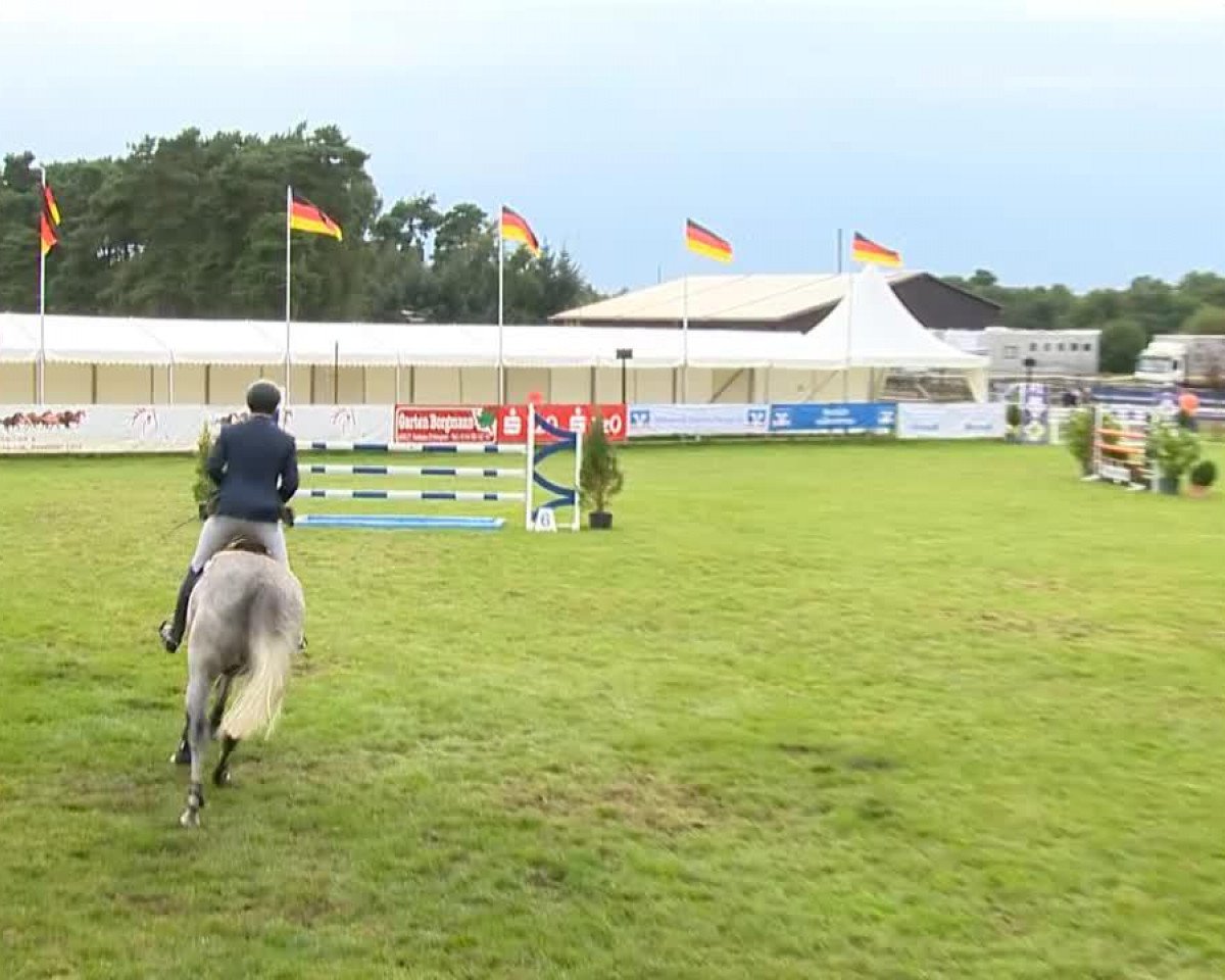 broodmare Silva For Ever (Oldenburg show jumper, 2009, from Sir Shutterfly)