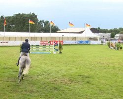 broodmare Silva For Ever (Oldenburg show jumper, 2009, from Sir Shutterfly)