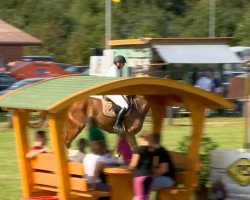 jumper Bill Gates H (Oldenburg, 2009, from Balou du Rouet)