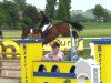 jumper Calanda 44 (Westphalian, 2008, from Cavalier)