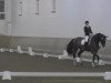 dressage horse Clara - Charisma (Westphalian, 2007, from Charisma)