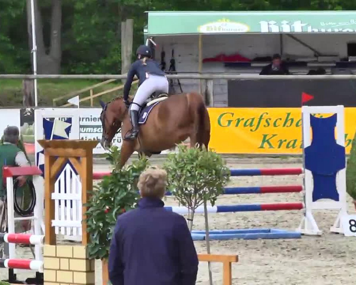 jumper Neverland 5 (Rhinelander, 2009, from Nabab de Rêve)