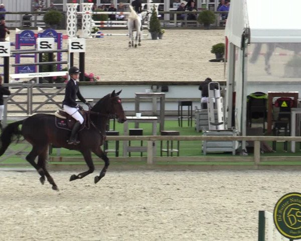 FEI Reitturnier Lier (BEL) 2020
