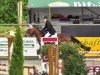 jumper Santiano SP (German Sport Horse, 2010, from Syphir)