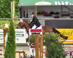 jumper Santiano SP (German Sport Horse, 2010, from Syphir)