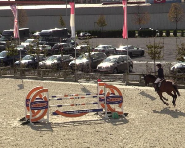FEI Reitturnier Lier (BEL) 2020