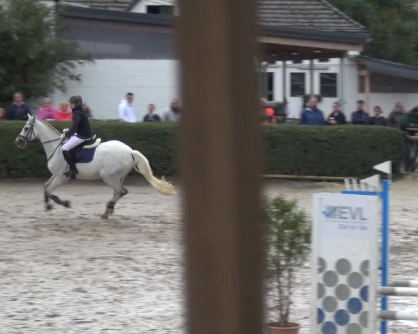 Reitturnier Leverkusen - Teitscheider Hof 2020
