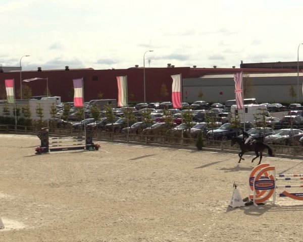FEI Reitturnier Lier (BEL) 2020