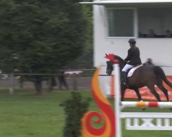 dressage horse Mo (Westphalian, 1996, from Montmartre)