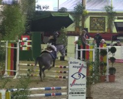 jumper Mic Nick (German Riding Pony, 2008, from Magareteau Beau Nash GH)