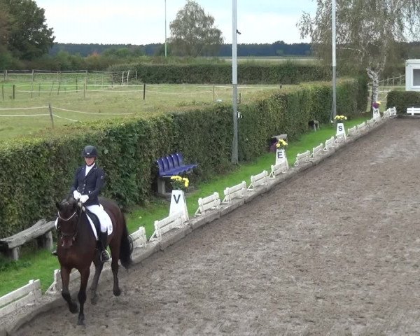 Reitturnier Übach-Palenberg - Scherpenseel 2020