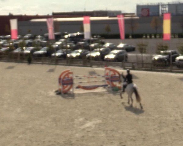FEI Reitturnier Lier (BEL) 2020