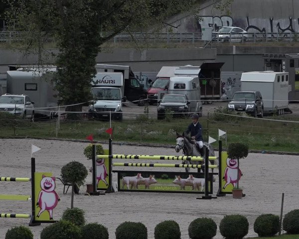 Reitturnier Basel Schänzli 2020