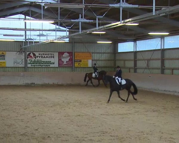 Reitturnier Bad Windsheim/Mfr. 2020