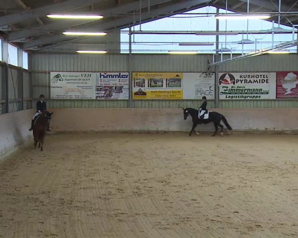 Reitturnier Bad Windsheim/Mfr. 2020