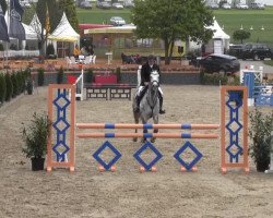 Springpferd Diego van de Helle (Belgium Sporthorse, 2009, von Castelino van de Helle)