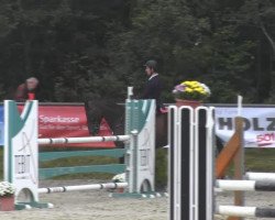 Springpferd Ibelia (Belgisches Warmblut, 2008, von Lord Z)