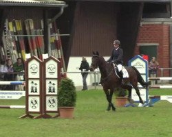 Springpferd Highlight N (Westfale, 2009, von Hunter)